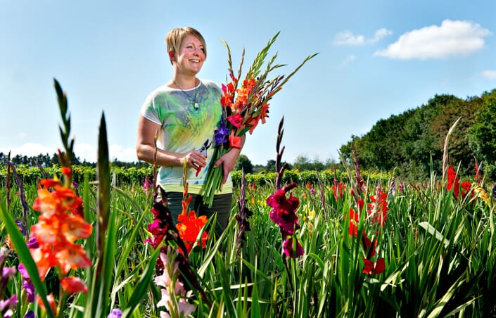 BirgitAndersen BirgitAndersen
